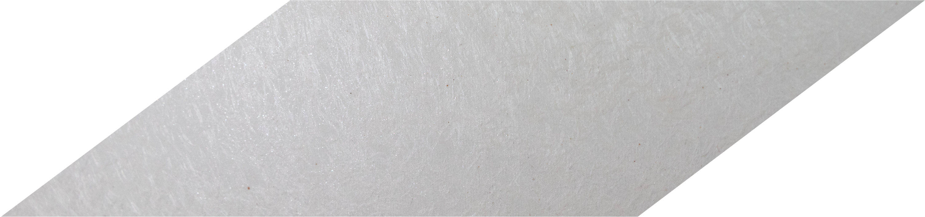 【差替用】TOP_採用情報背景