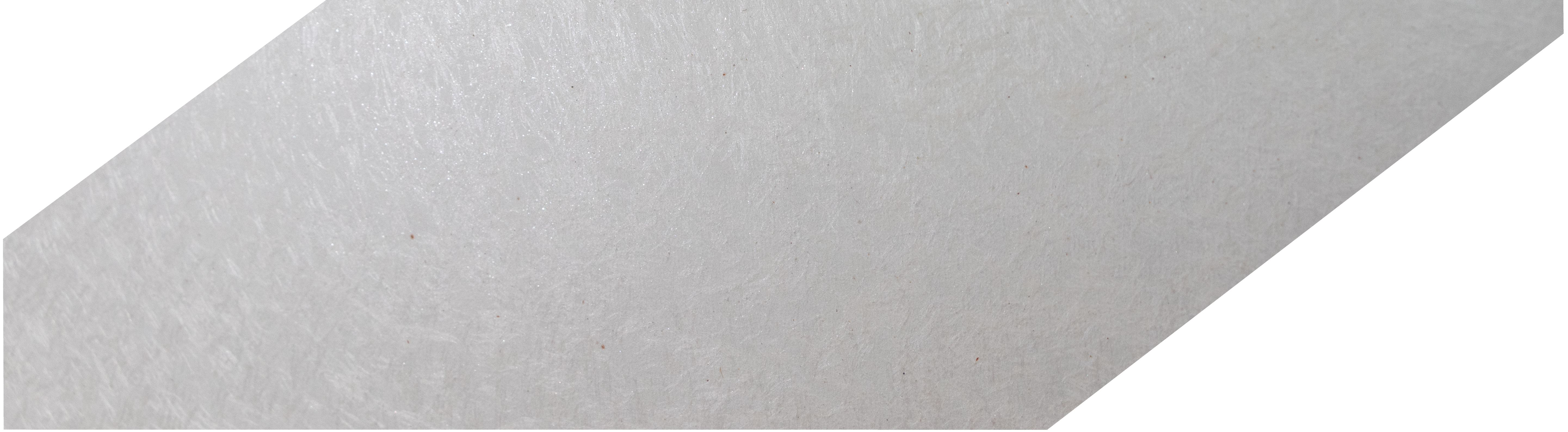 5.【差替用】TOPページ_採用情報背景画像