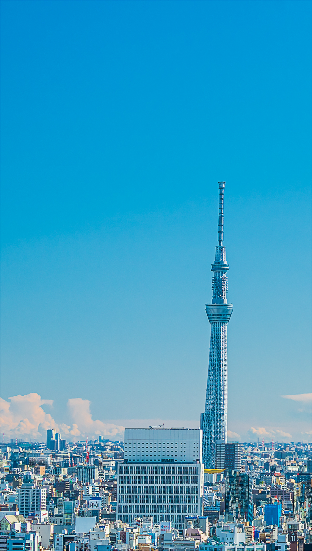 TOPページ_Banner画像【SP】-1