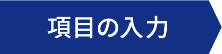 項目の入力